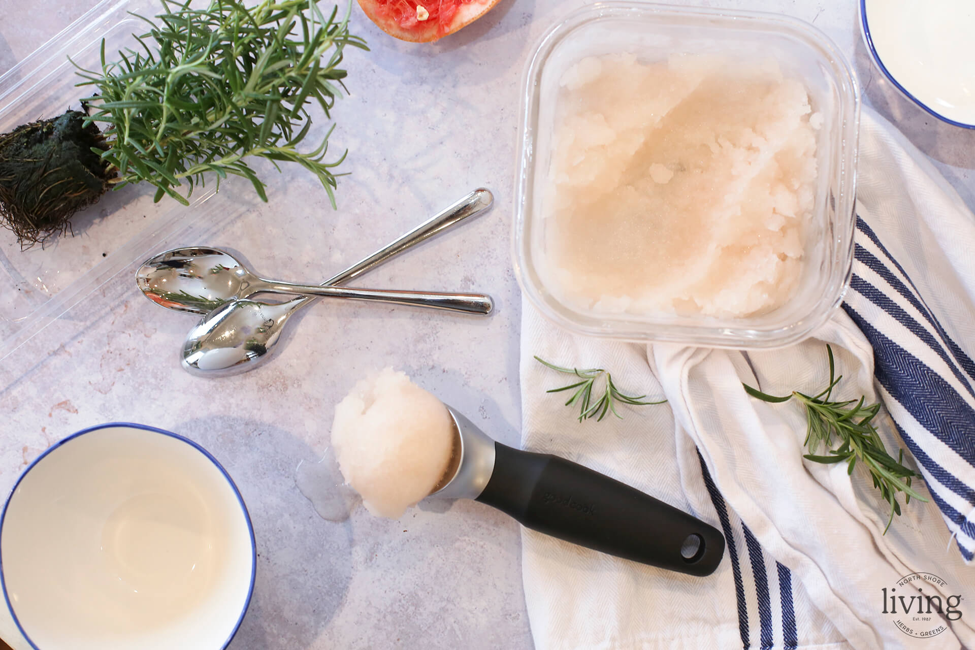 Grapefruit Sorbet - North Shore Living®