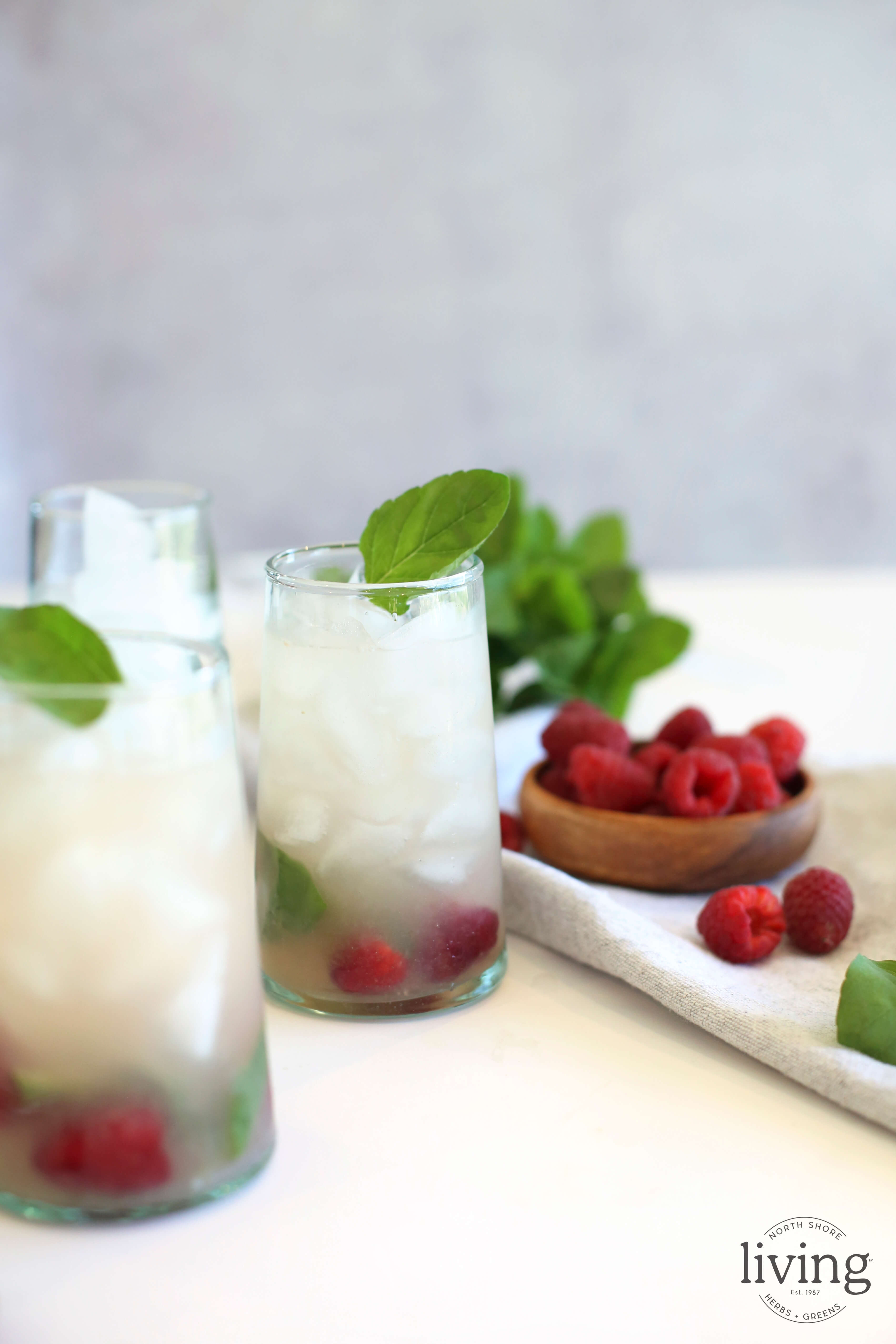 Grapefruit Mint Smash North Shore Living®