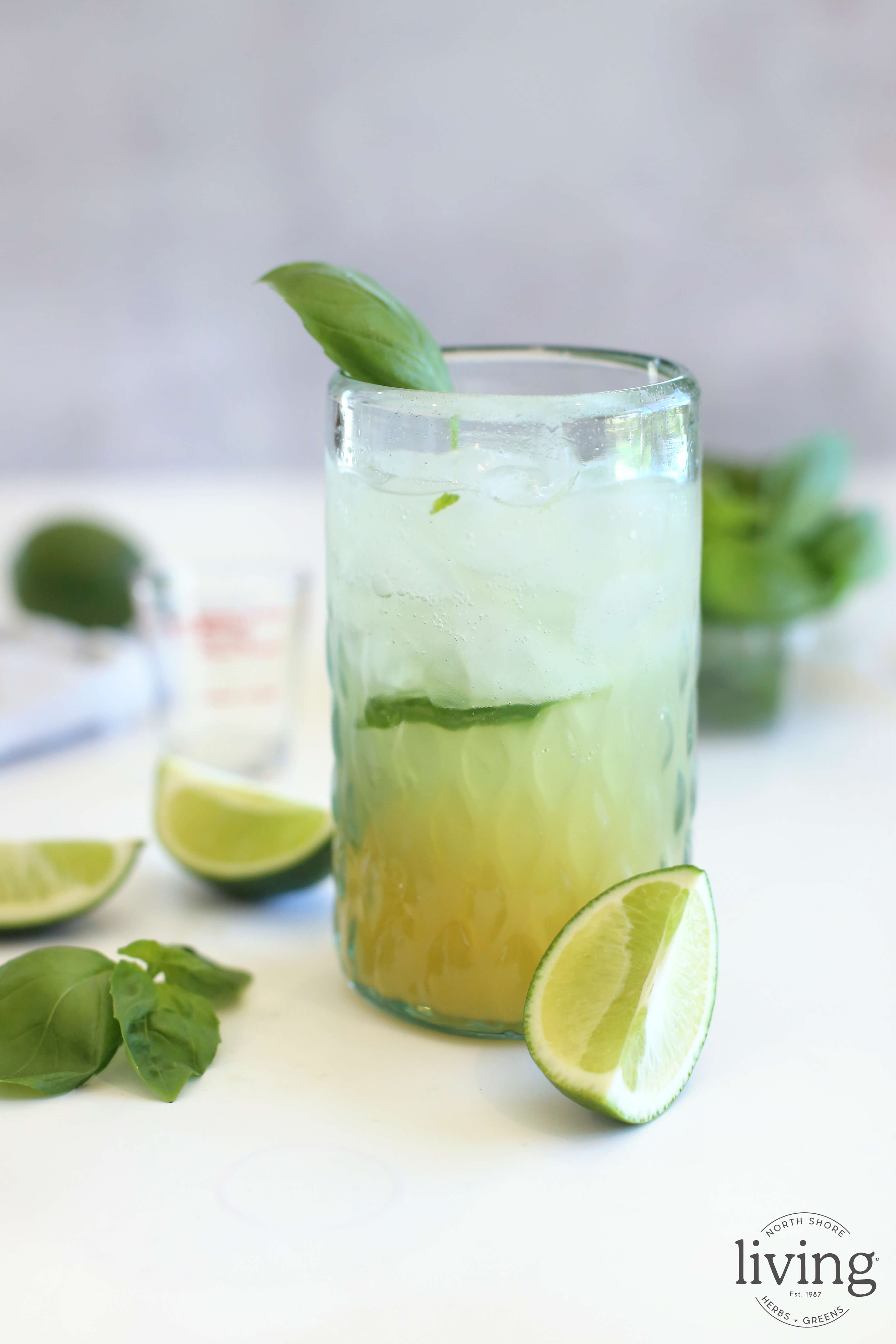 Pineapple Basil Cocktail North Shore Living®